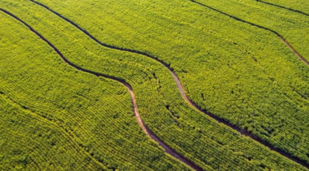 Captura de tela 2026-03-08 183236